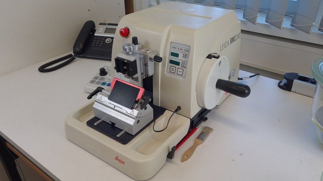 microtome