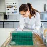 Bachelorarbeiten