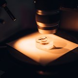 Abschlussarbeiten