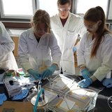 Schüler:inneninformation